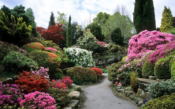 Сад Леонардсли, Англия (Leonardslee Gardens, England)